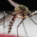 Lista de casos de dengue en México y número de fallecidos ante brote