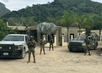 Vehículos, armas, cohetes, cartuchos y hasta 900 gallos en Jalisco fueron incautados por Marina