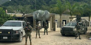 Vehículos, armas, cohetes, cartuchos y hasta 900 gallos en Jalisco fueron incautados por Marina