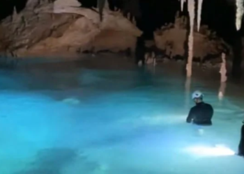 Denuncian perforación de cenotes sin estudios ambientales por construcción del Tren Maya