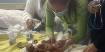 En Chalco encontraron a recién nacido que coincide con características de bebé robado en Pachuca