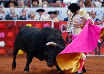 Intentan lograr amparo contra las corridas de toros en la CDMX