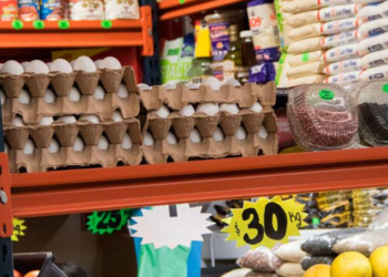 Científicos encuentran plomo en alimentos de la canasta básica de los mexicanos