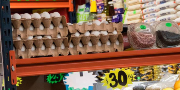 Científicos encuentran plomo en alimentos de la canasta básica de los mexicanos