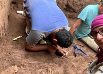 Fue descubierto un sistema funerario prehispánico en Nayarit