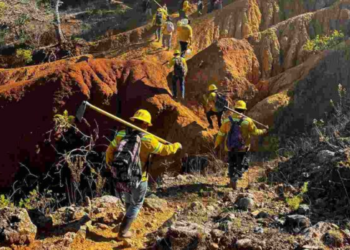 5 muertos y 6 días lleva el incendio forestal en San Lucas Quiavini, Oaxaca