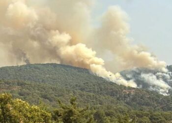 Reserva natural en Monte Alto en el Valle de Bravo en gran peligro por incendio