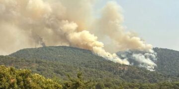 Reserva natural en Monte Alto en el Valle de Bravo en gran peligro por incendio