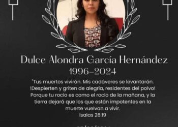 Protegido: Este es el video tras el impacto brutal de tren a brasileña