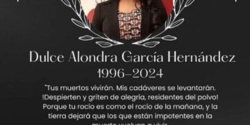 Protegido: Este es el video tras el impacto brutal de tren a brasileña