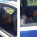 Enfrentamiento en Tabasco deja tres Policías muertos y dos heridos