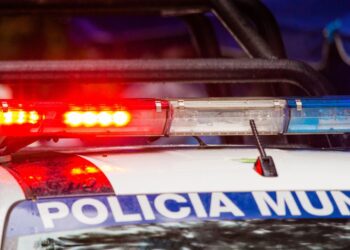 Hallan cuatro cadáveres atados de pies y manos en una zona boscosa de México