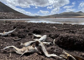 Presa de Chihuahua se esta secando a pesar de las intensas lluvias en México