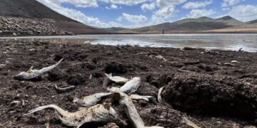 Presa de Chihuahua se esta secando a pesar de las intensas lluvias en México
