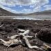 Presa de Chihuahua se esta secando a pesar de las intensas lluvias en México