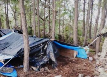 11 muertos en Nayarit tras enfrentamiento entre CJNG y Cártel de Sinaloa