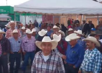 Cervecera Heineken incumple precio del grano de cebada denuncian los productores mexicanos