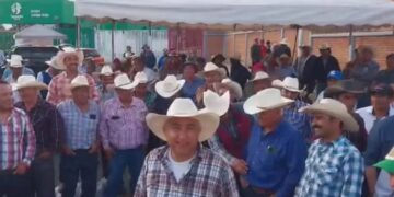 Cervecera Heineken incumple precio del grano de cebada denuncian los productores mexicanos