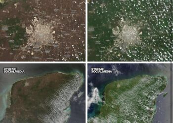 Captan fotos desde el espacio en donde se mira como Yucatán se torna verde tras paso de lluvias