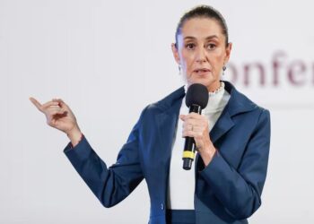 La presidenta de México afirma revisará si perritos y gatos abandonados en AIFA son sacrificados
