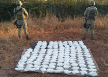 En la foto la droga incautada.