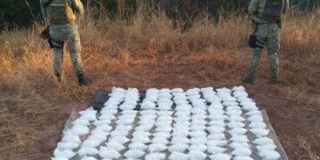 En la foto la droga incautada.