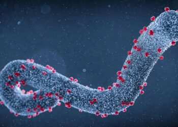 Virus de Marburgo.