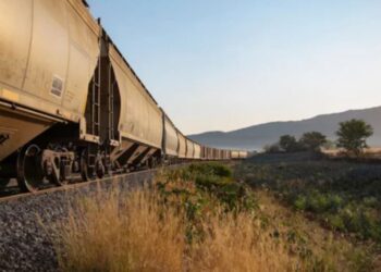 Más de 100 mil toneladas de granos varados por bloqueo en vía Veracruz-México