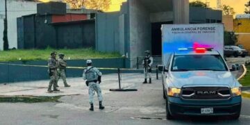 6 muertos tras balacera en antro ‘DBar’ de Villahermosa, Tabasco