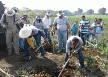 Fue detenida la búsqueda de personas desaparecidas en Veracruz por falta de presupuesto
