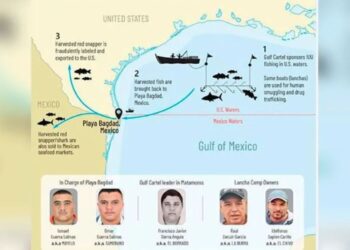 Imágenes de los 5 sancionados.