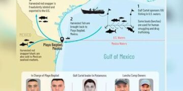 Imágenes de los 5 sancionados.