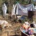 Fueron destruidos narcolaboratorios en Culiacán; hallan fentanilo, metanfetamina, cocaína