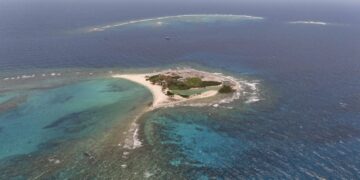 El Golfo de México, es un ecosistema primordial para la vida marina.