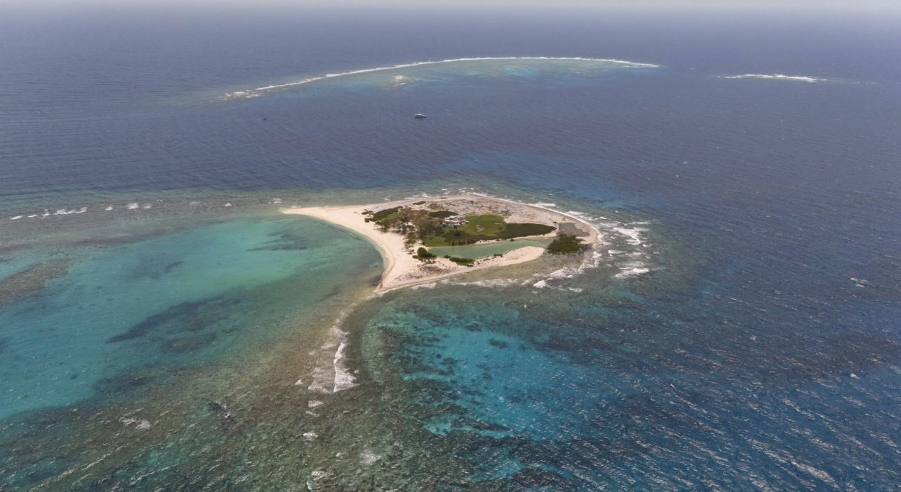 El Golfo de México, es un ecosistema primordial para la vida marina.