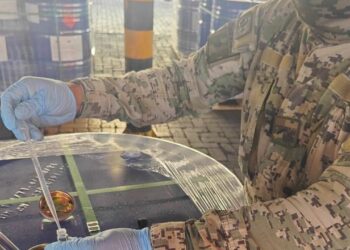 25 toneladas de precursores químicos para fabricación de drogas sintéticas aseguradas en Manzanillo