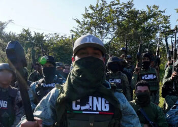 Marco Rubio: “Cárteles operan como gobiernos en partes de México”