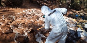 Gran golpe al narco en Zacatecas aseguran mega laboratorio de metanfetamina