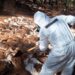 Gran golpe al narco en Zacatecas aseguran mega laboratorio de metanfetamina