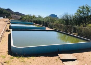 Problema con las sequías agudiza crisis hídrica en Sinaloa las presas tienen niveles por debajo del 10%