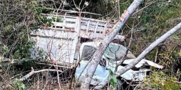 7 personas muertas en barranco encontradas después de varios días en Tepozonalco: Nadie sabía de accidente