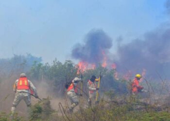 10 incendios forestales activos en Morelos; Tepoztlán es donde se encuentra la mayor afectación