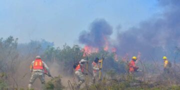 10 incendios forestales activos en Morelos; Tepoztlán es donde se encuentra la mayor afectación