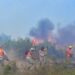 10 incendios forestales activos en Morelos; Tepoztlán es donde se encuentra la mayor afectación