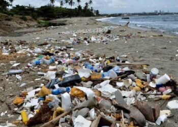 Las seis playas “reprobadas” para uso recreativo en México