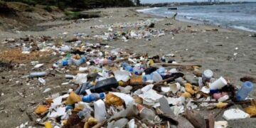 Las seis playas “reprobadas” para uso recreativo en México