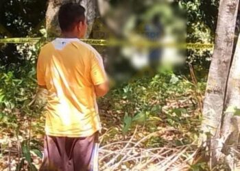 Mujer embarazada fue c0lgad4 de un árbol en Tabasco