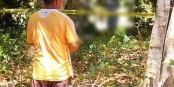 Mujer embarazada fue c0lgad4 de un árbol en Tabasco