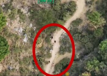 Fueron percibidos “olores tóxicos” entonces los vecinos llaman a emergencias y descubren narcolaboratorio en Hidalgo