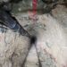 Fue descubierto narco túnel en Tijuana de al menos 700 mts de longitud